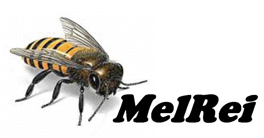 Logotipo MELREI