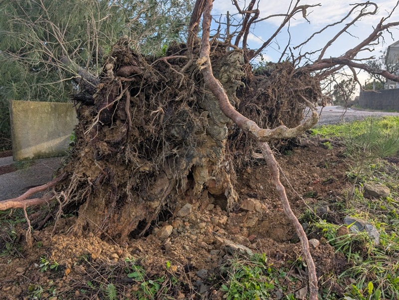 Efeitos da tempestade