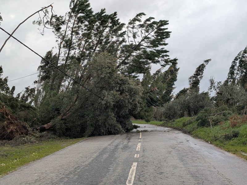 Efeitos da tempestade