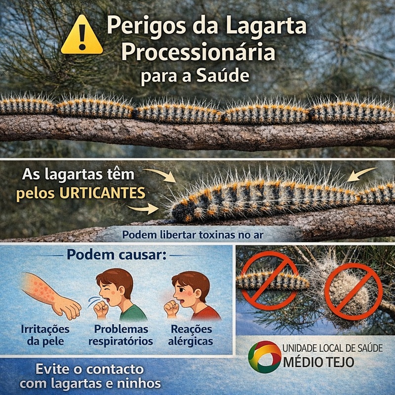 Folheto de divulgação