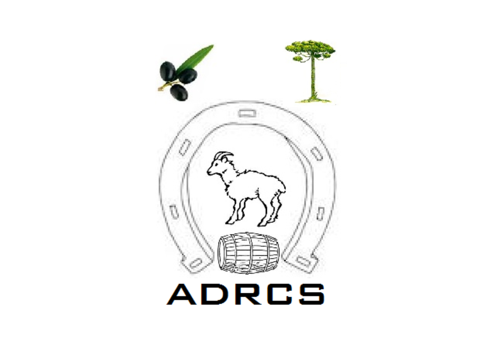 Associação Desportiva, Recreativa e Cultural da Seada