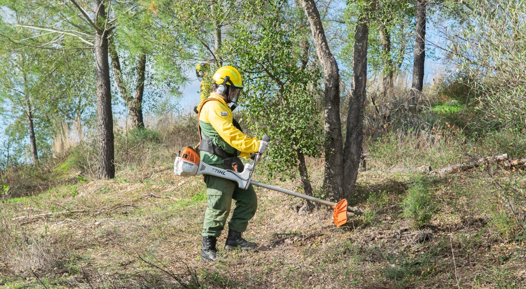 Sapadores Florestais em ação