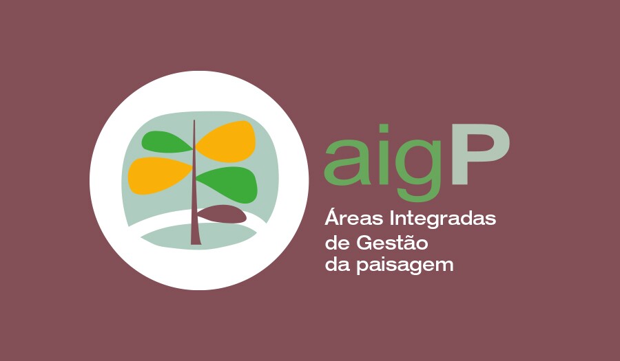 AIGPs de Vila de Rei