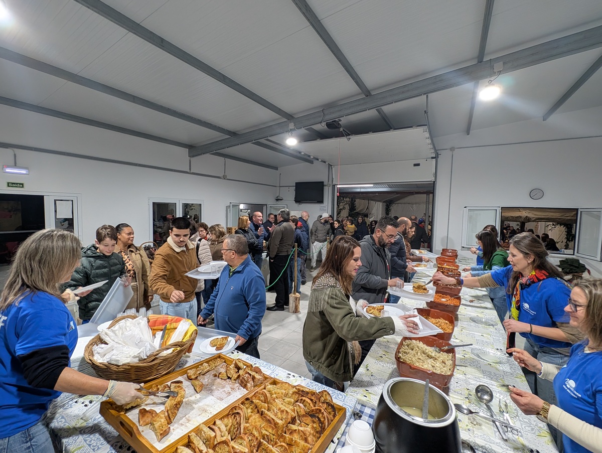 Festival do Torricado