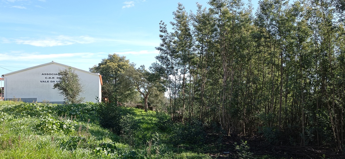 Condomínio de Aldeia a implementar em Vale da Urra