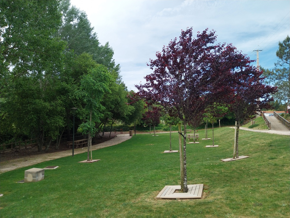 Imagem alusiva a noticia