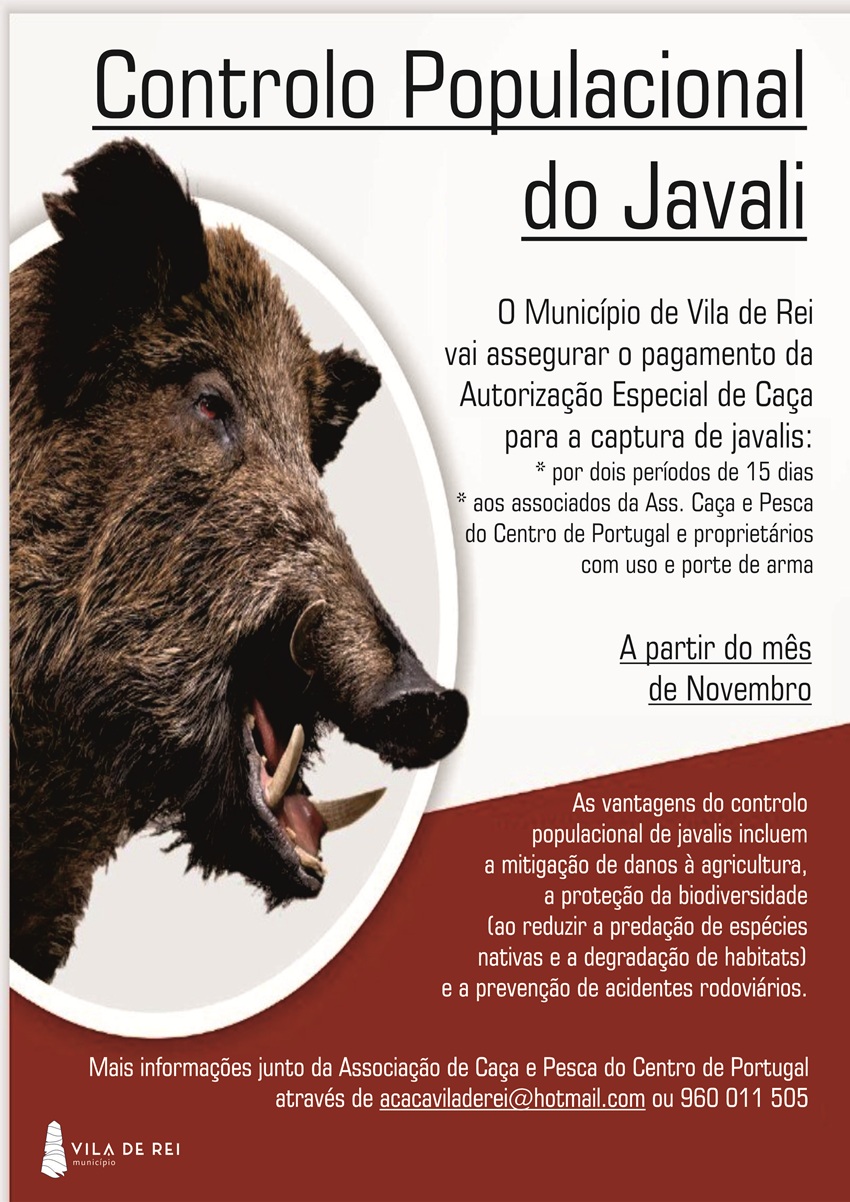 Cartaz da ação