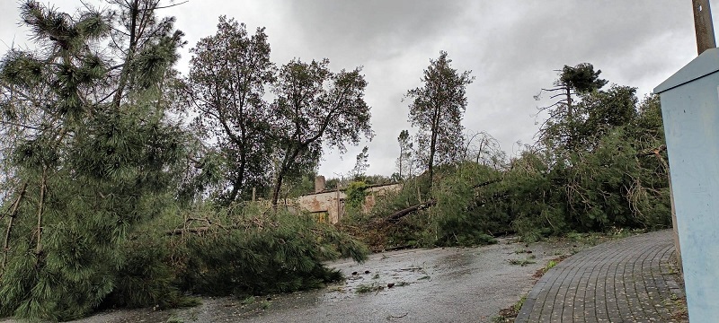 Efeitos da tempestade
