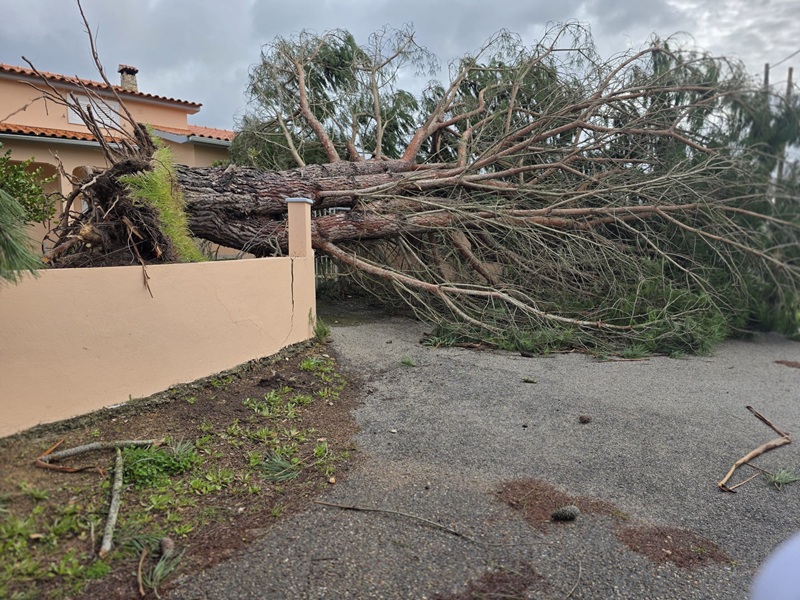 Efeitos da tempestade