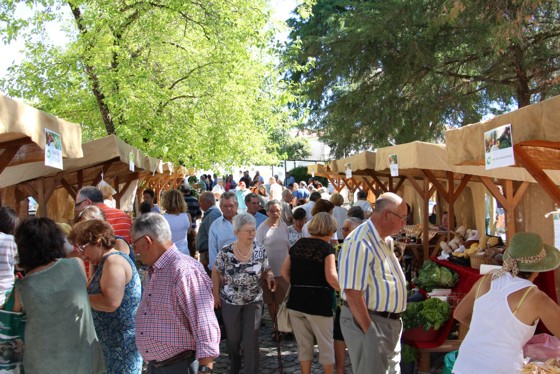 quintais julho final