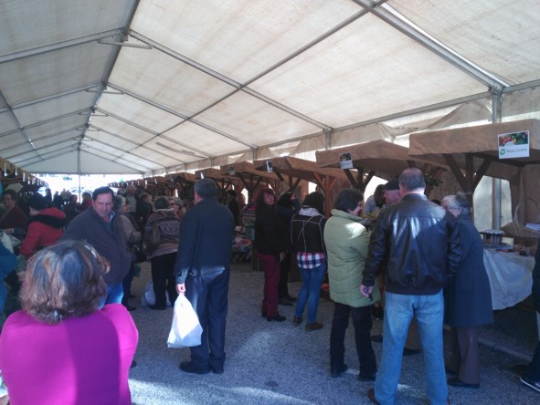 quintais dezembro final