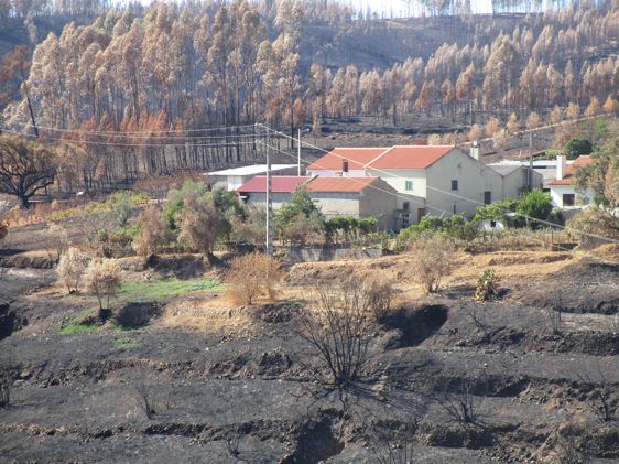 candidatura incendios