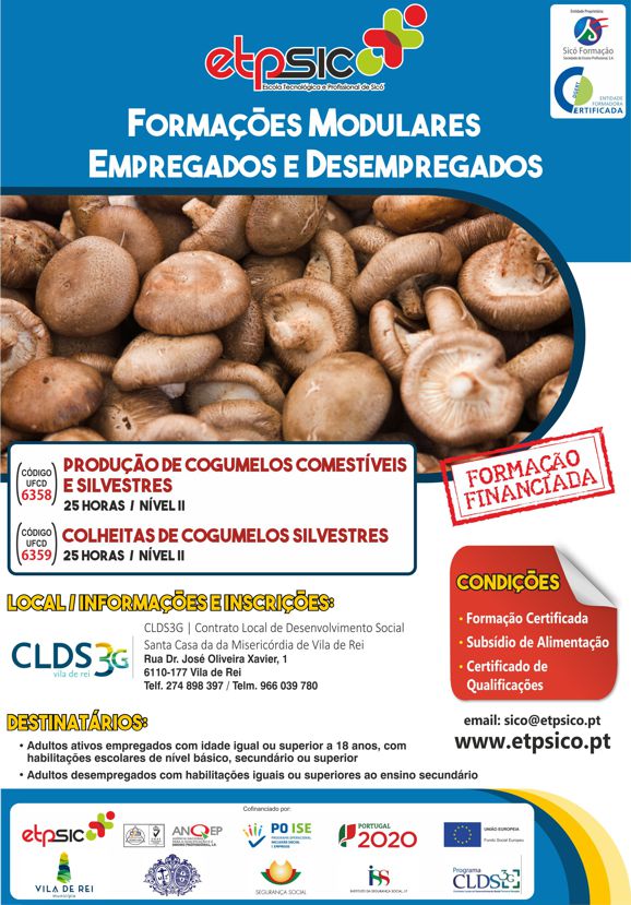 clds cogumelos