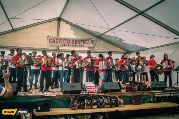 concertinas final2018