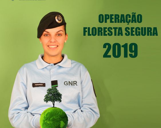 floresta segura