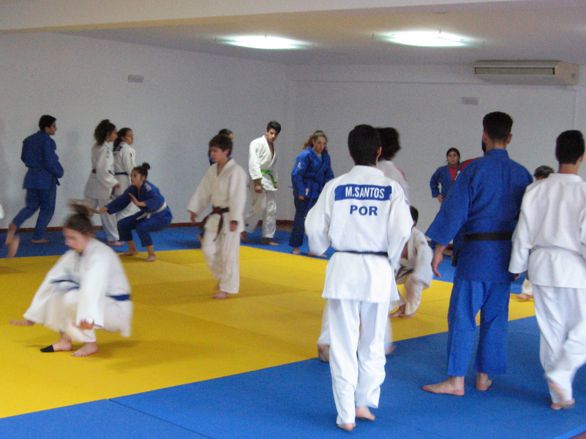 estagio judo