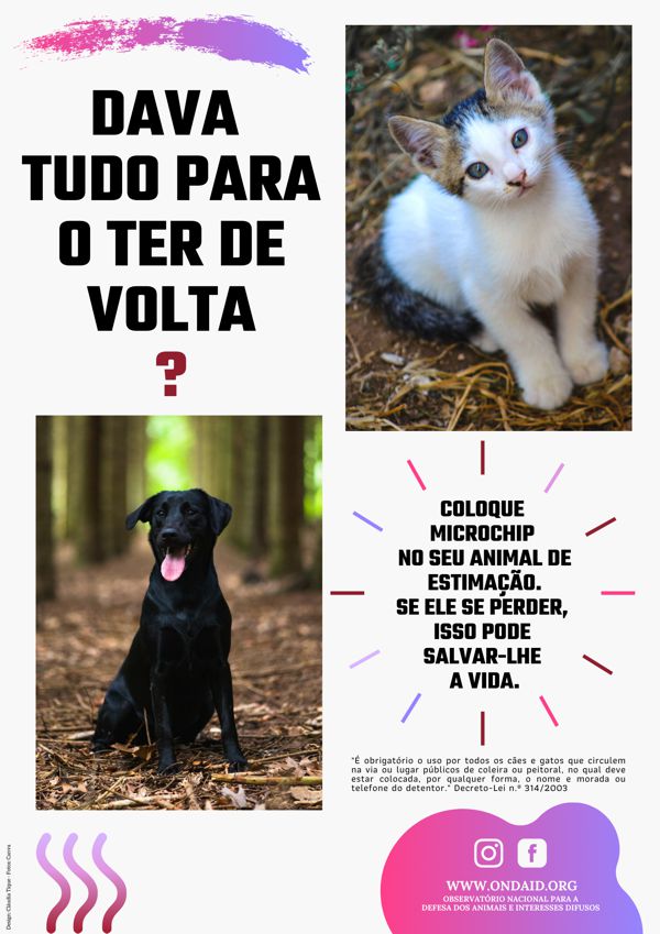 campanha animais